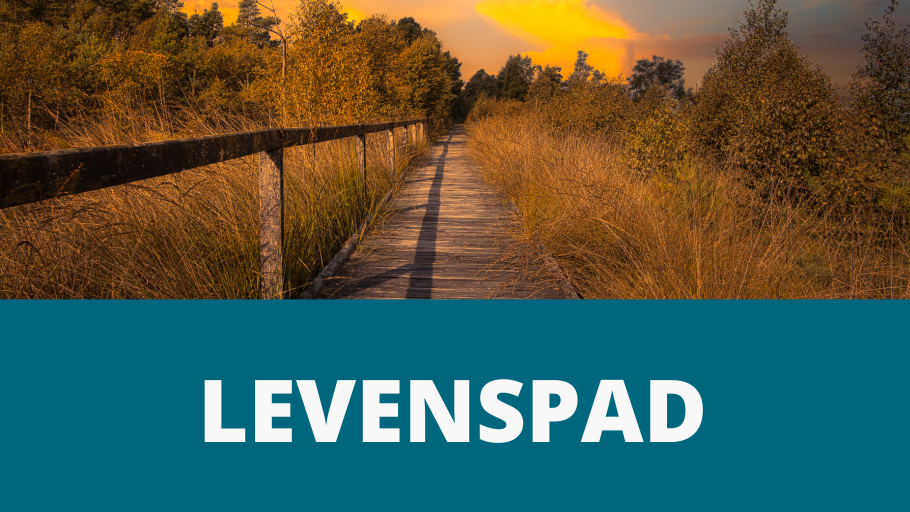 Levenspad dementie